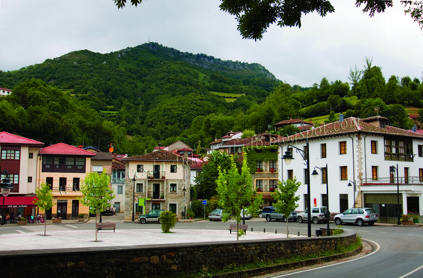 campo caso