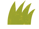 hierba03