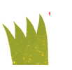 hierba1