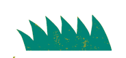 hierba2