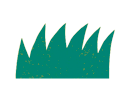 hierba4