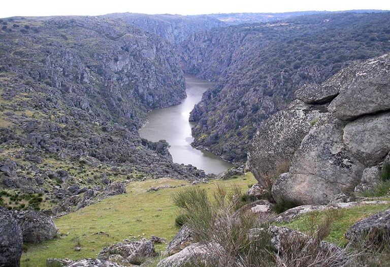 villardiegua