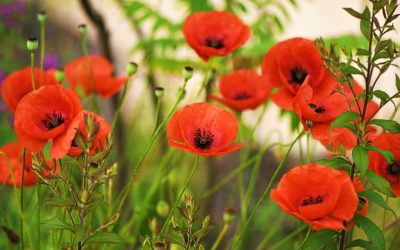 Lo que vivimos en el río nos construye